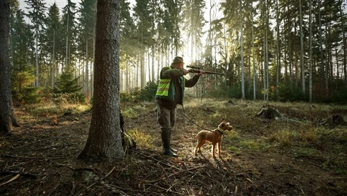 Mastering The Wind: Why Wind Direction Matters in Hunting